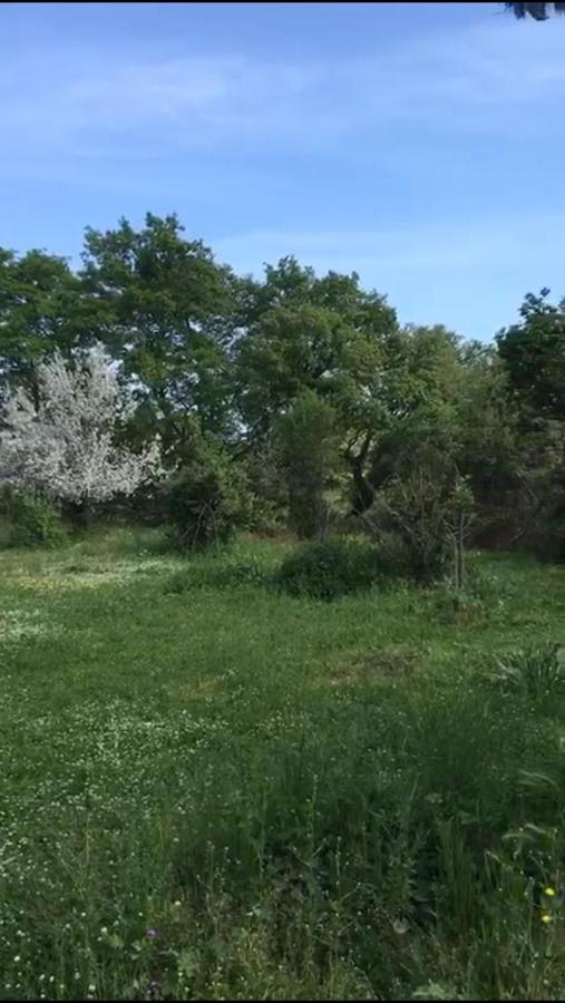 Il Casale Del Popolo Villa Barbarano Romano Екстериор снимка